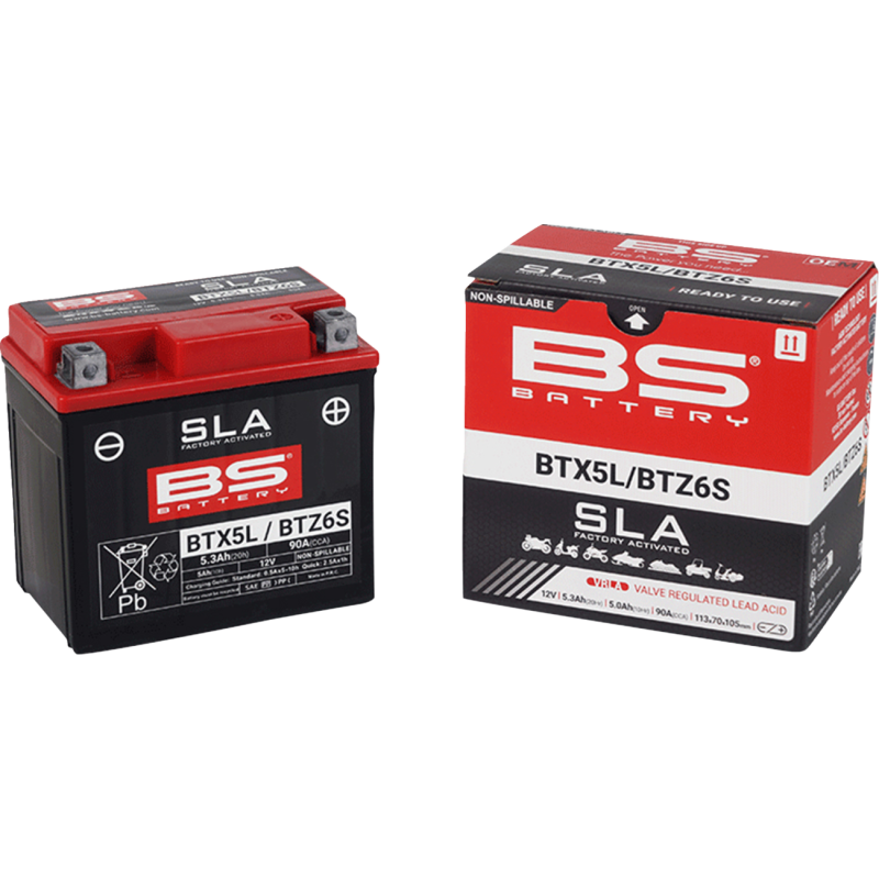 SLA Factory-Activated AGM Battery - YTX5L