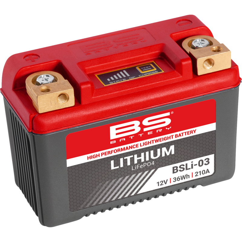 High Performance Lithium Scooter Battery 2113-0785