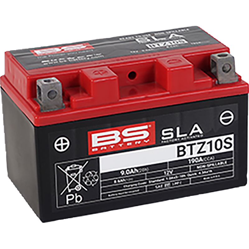 BS Battery 2113-0621 SLA AGM Battery
