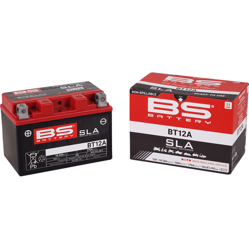 BS Battery SLA AGM Battery 2113-0631