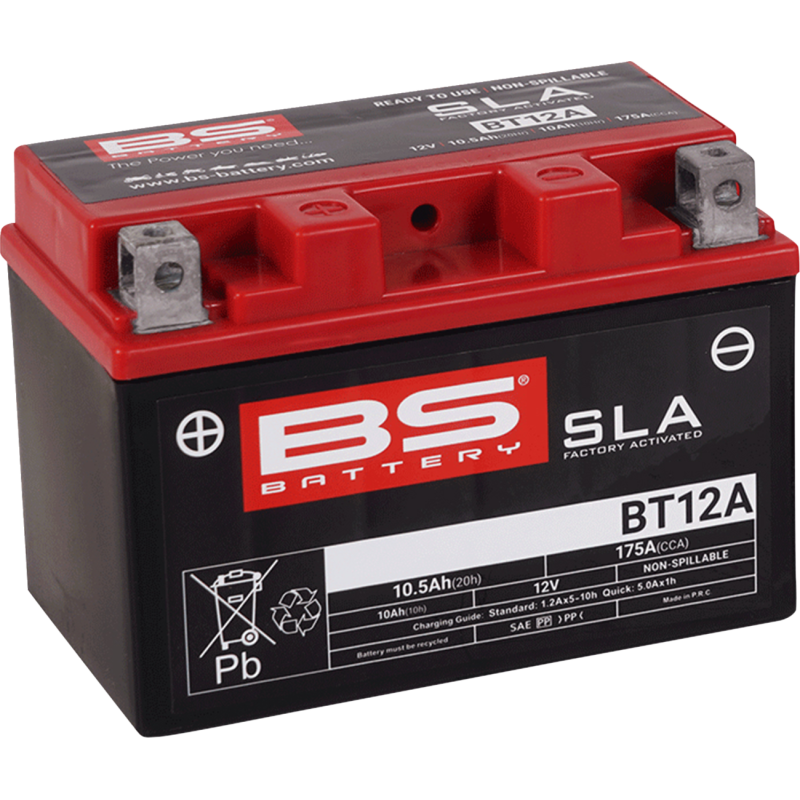 BS Battery SLA AGM Battery 2113-0631