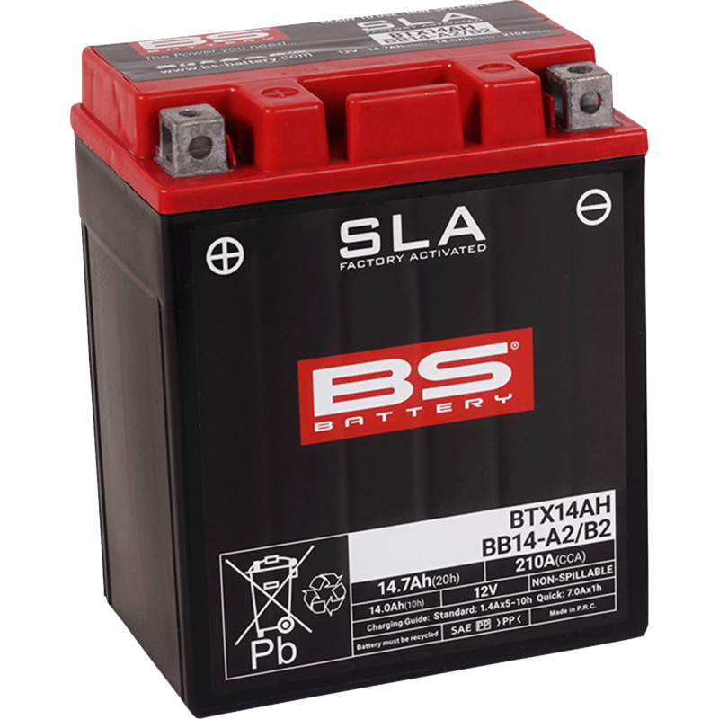 BS Battery SLA AGM 2113-0637