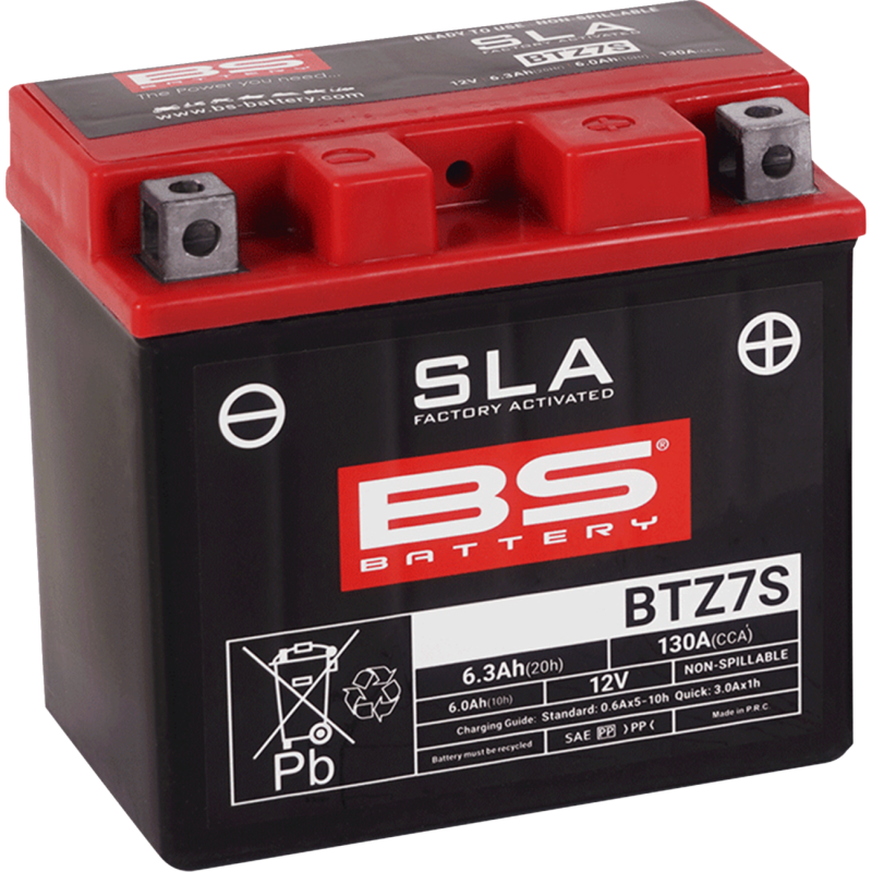 BS Battery 2113-0992 SLA AGM Battery