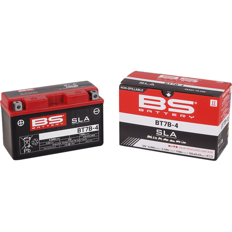 BS Battery SLA AGM 2113-0619
