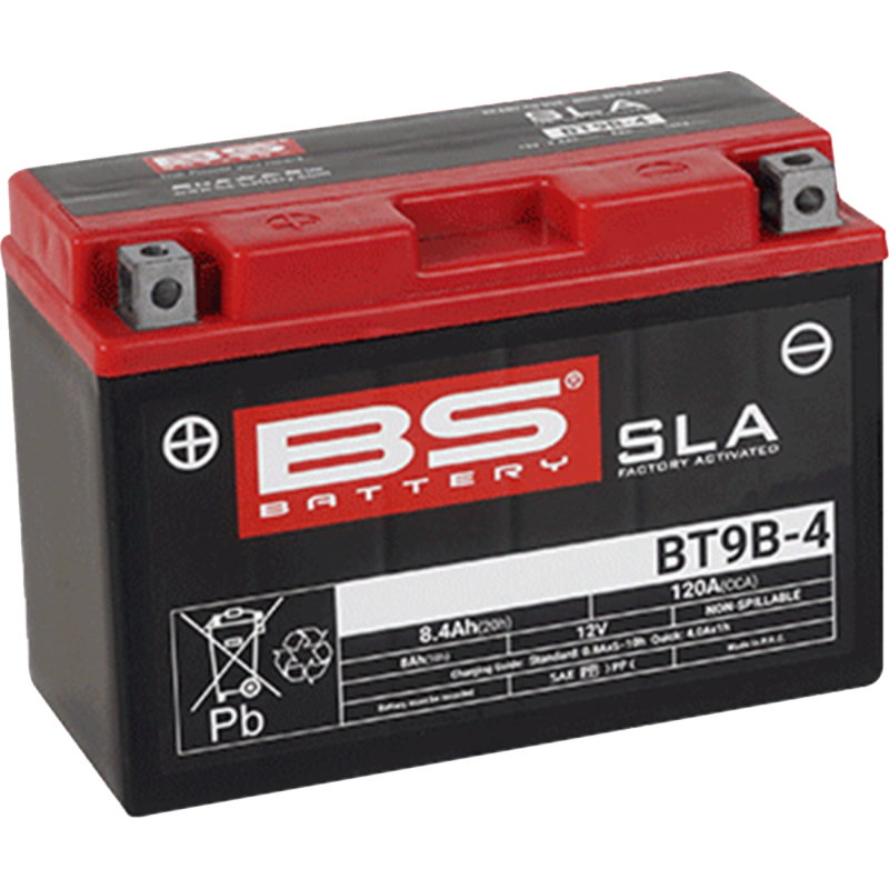 BS Battery SLA AGM 2113-0620