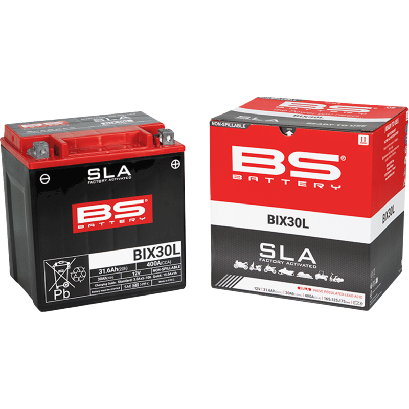 BS Battery SLA AGM 2113-0644