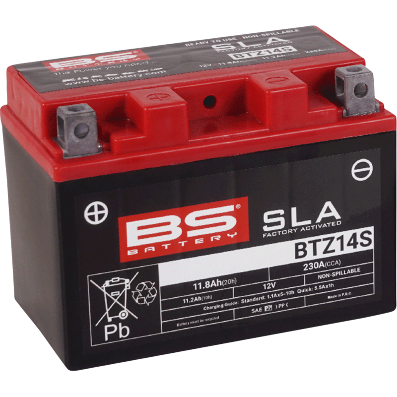 BS Battery SLA AGM Battery 2113-0624