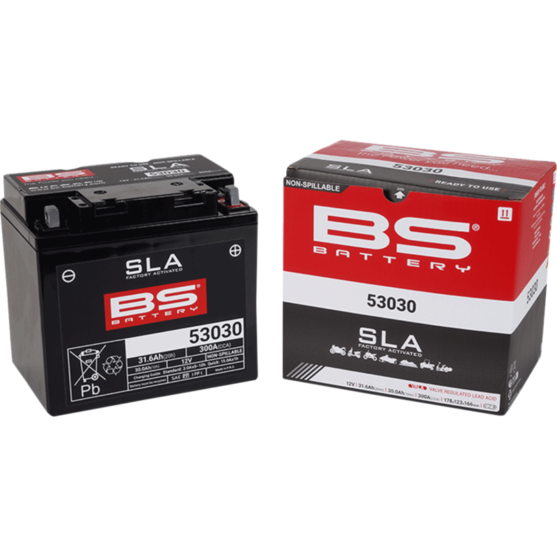 BS Battery 2113-0617 SLA AGM Battery