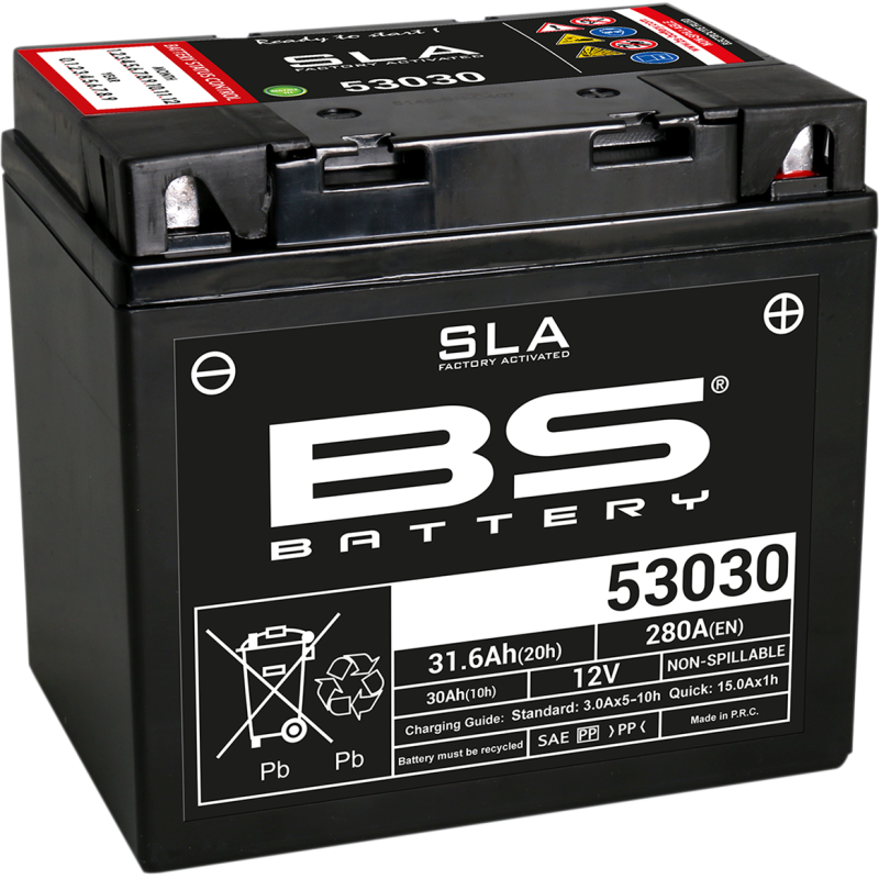 BS Battery SLA AGM 2113-0617