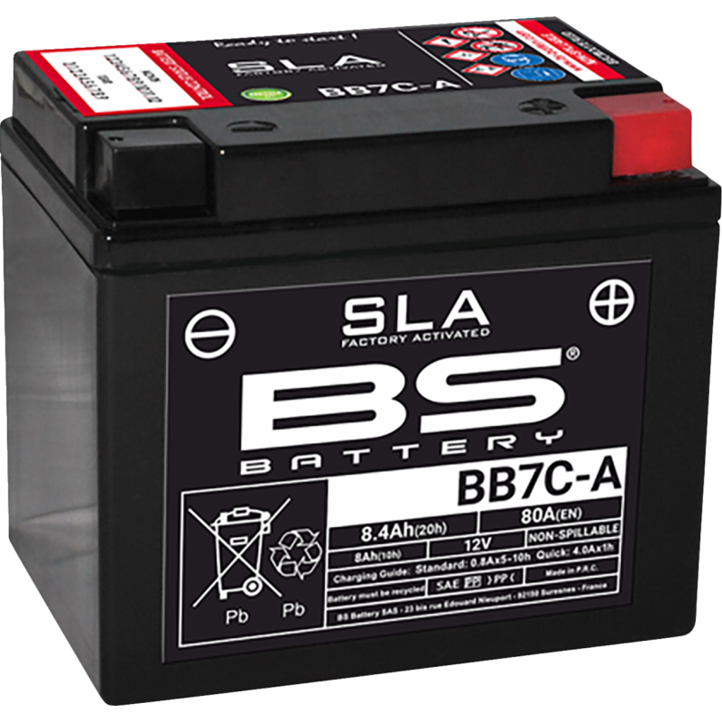 BS Battery SLA AGM 2113-0978