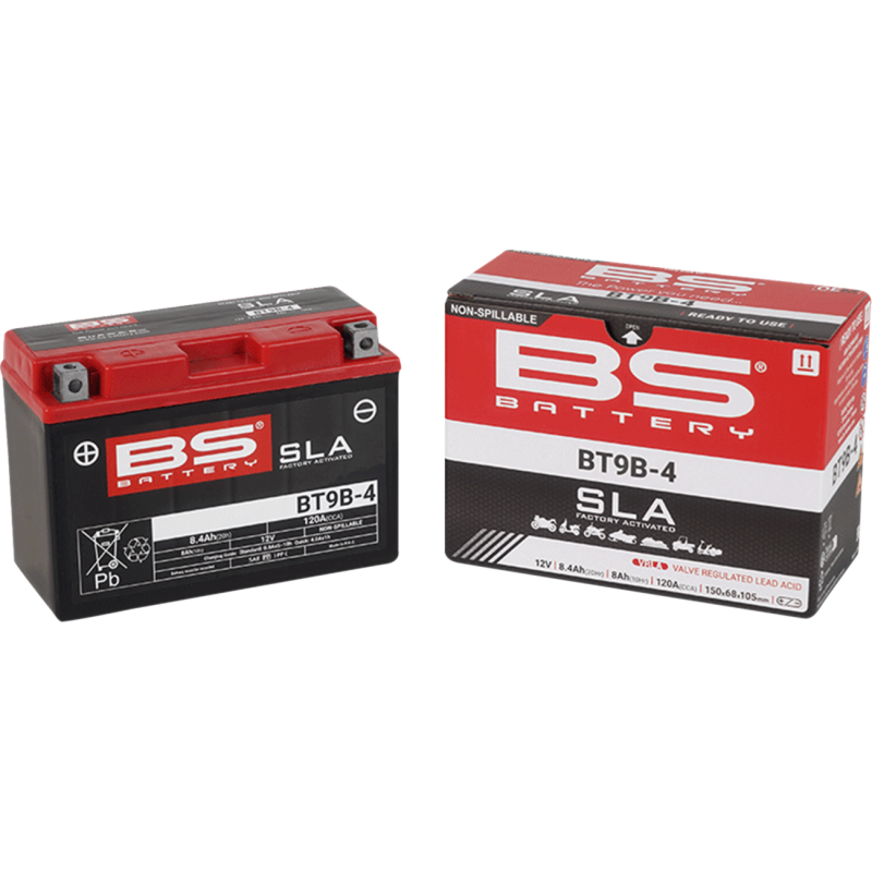 BS Battery SLA AGM 2113-0620