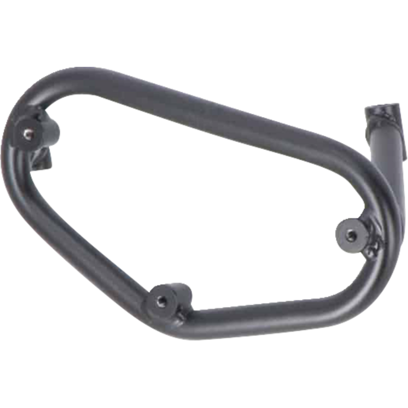 SLC Side Carrier - Left - BMW F 900 R