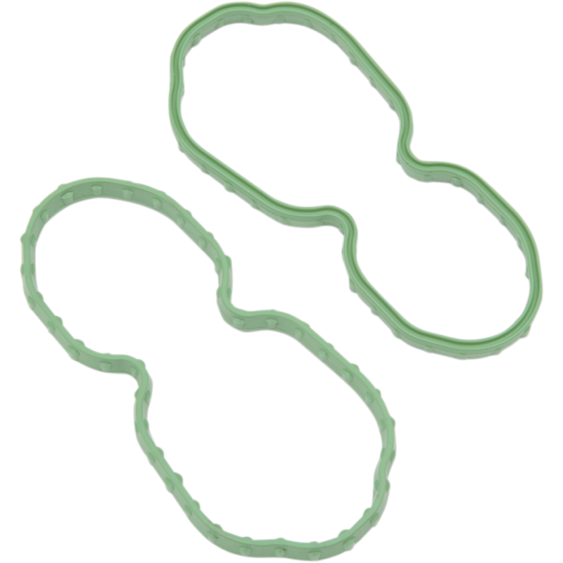 Fuel Pump Door Seal 0701-0667