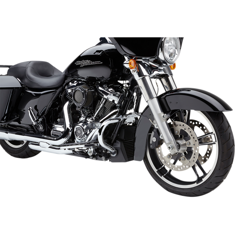 Chrome Case Guard for Touring