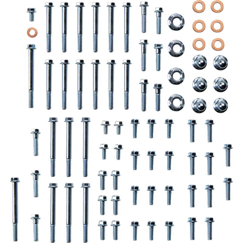 Engine Fastener Kit - Suzuki RM250 01-08