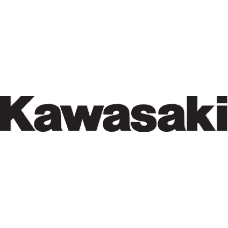Kawasaki Fork and Swingarm Decal