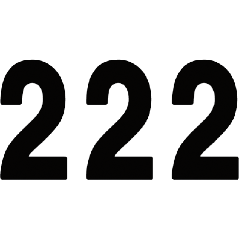 Pro Numbers - 7" Black - No. 2