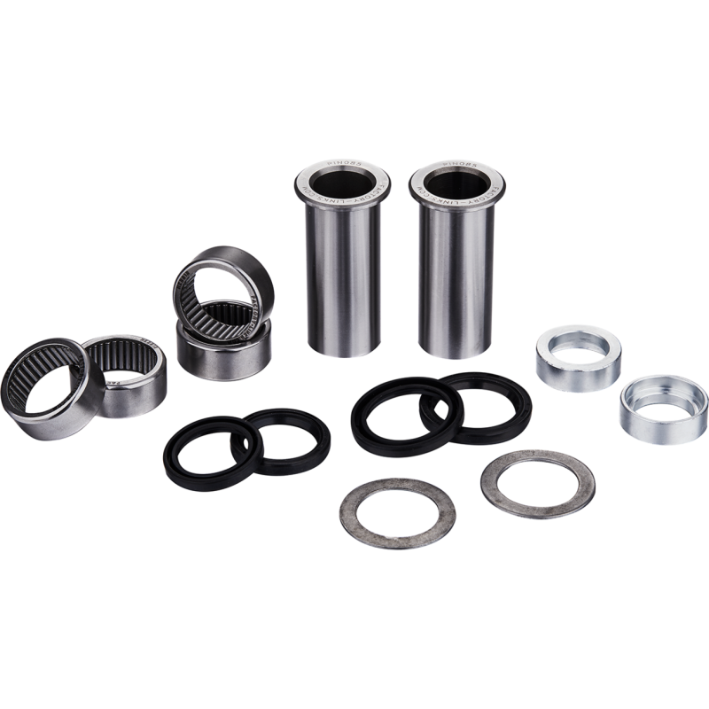RIEJU MR Pro/Racing/Six Days 300 21-26 OEM Series Swingarm Bearing Kit