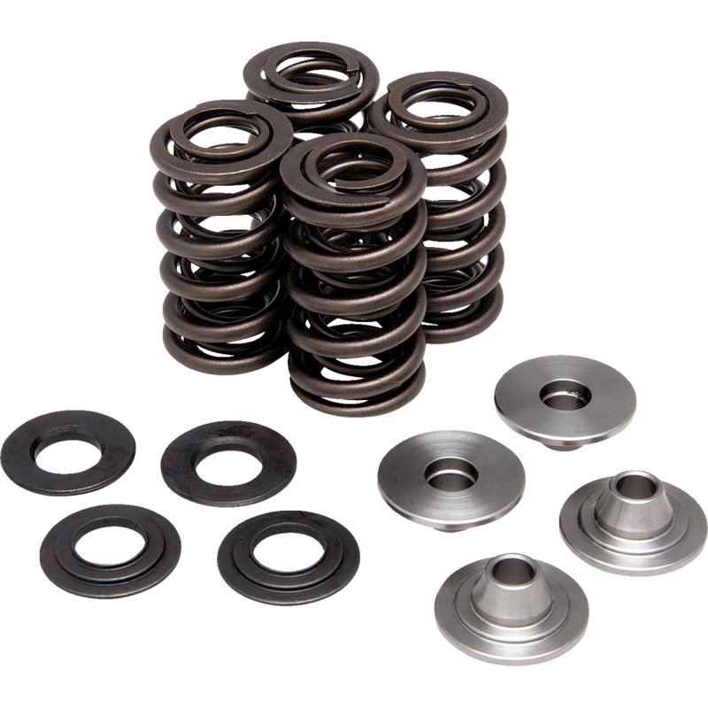 Lightweight Racing Valve Spring Kit