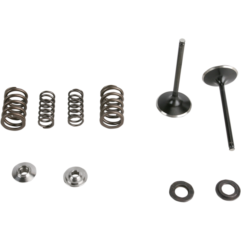 Stainless Steel Conversion Valve and Spring Kit - Intake