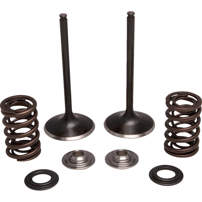 Stainless Steel Conversion Valve and Spring Kit - Intake