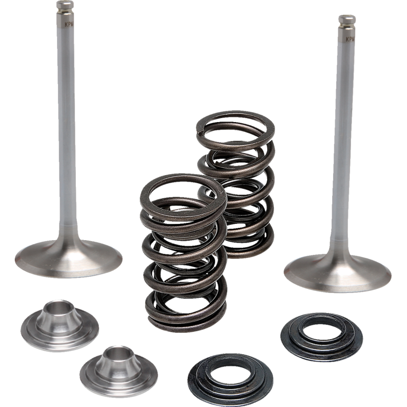Stainless Steel Conversion Valve and Spring Kit - Intake