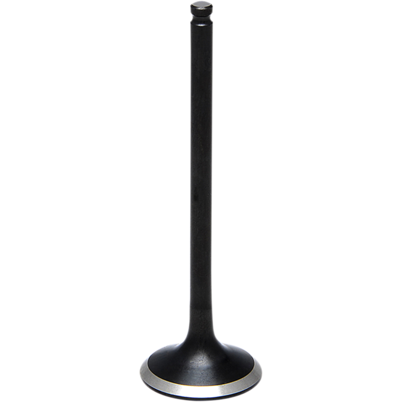 Black Diamond Intake Valve