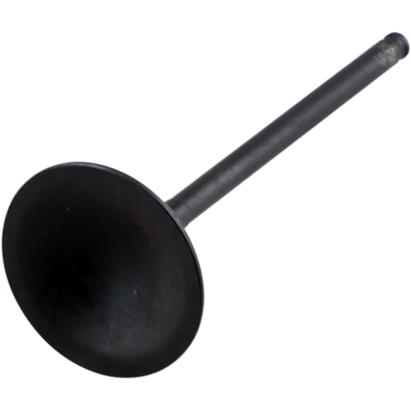 Black Diamond Intake Valve