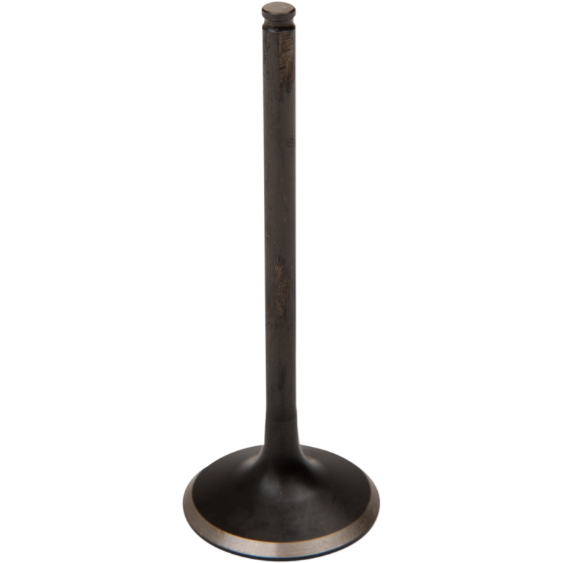 Black Diamond Exhaust Valve