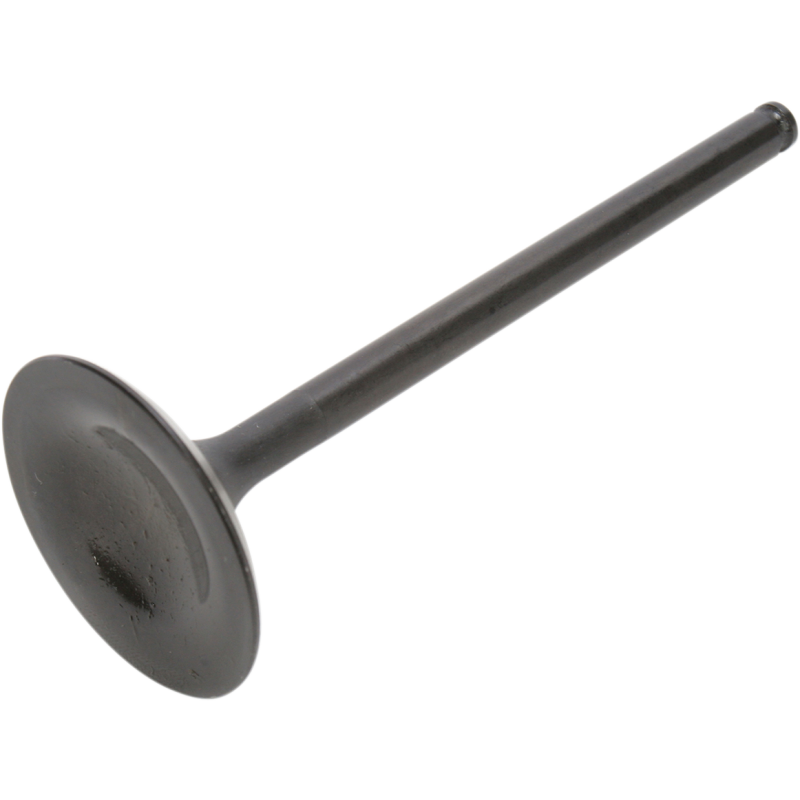 Black Diamond Intake Valve