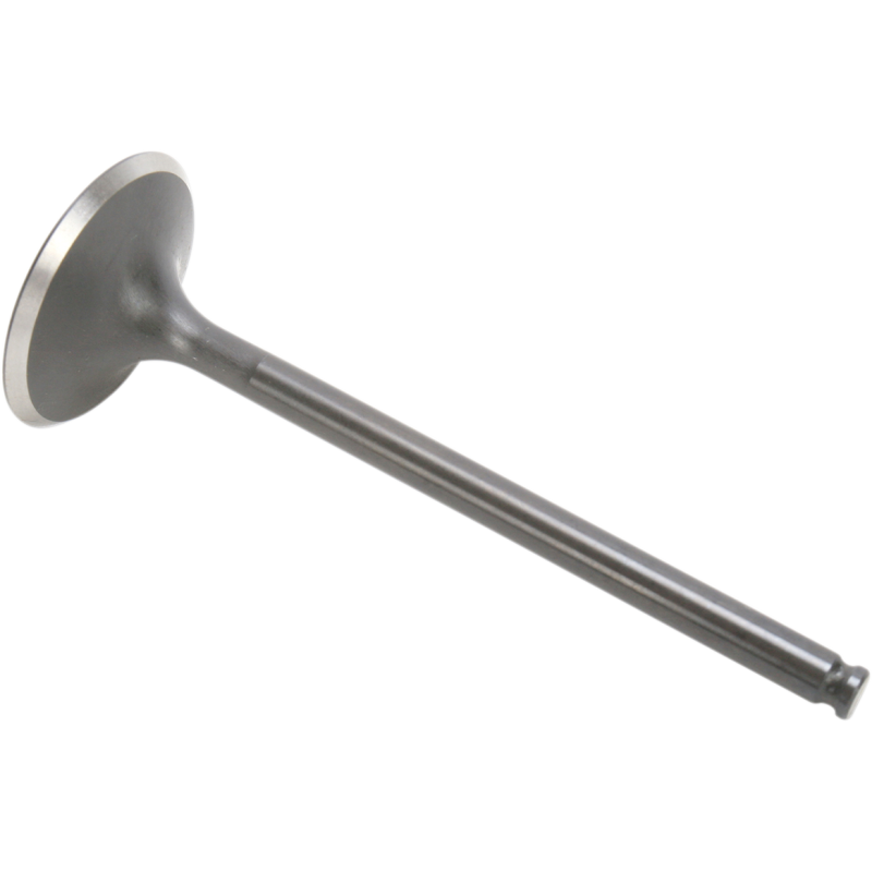 Black Diamond Intake Valve
