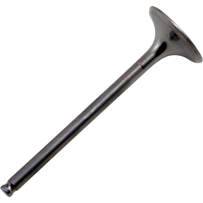 Tensilite Titanium Exhaust Valve