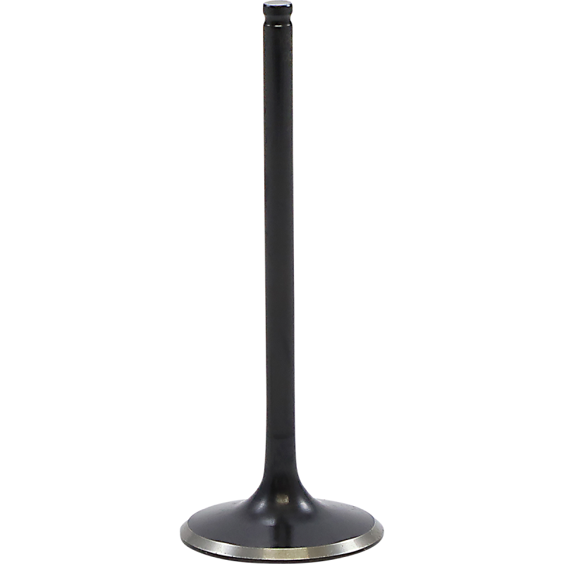 Black Diamond Intake Valve