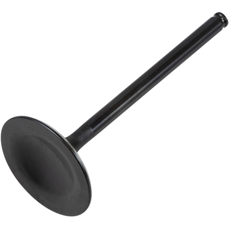 Black Diamond Intake Valve