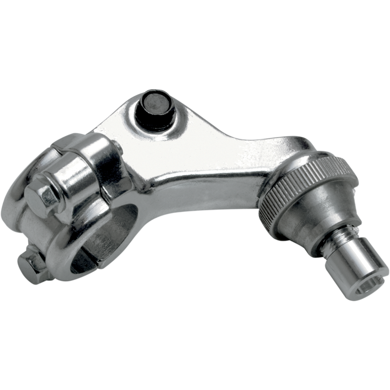 Clutch Perch - Polished