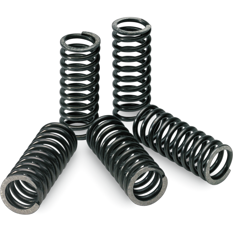 Pro Circuit Clutch Springs
