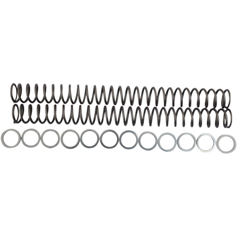Race Tech Fork Springs