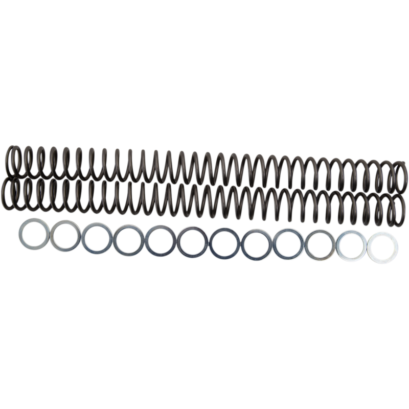 Race Tech Fork Spring 0405-0313