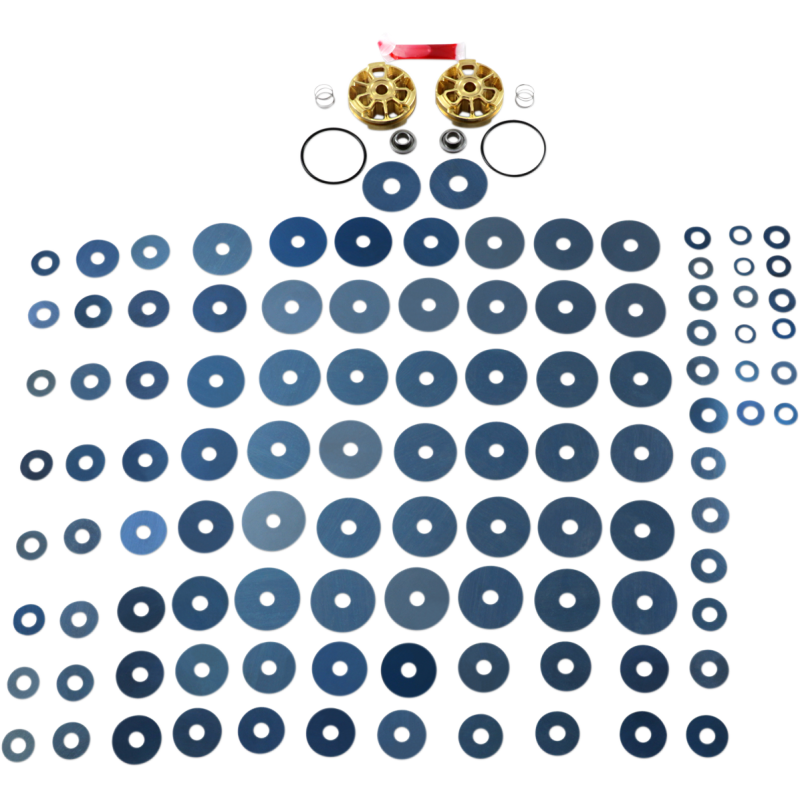 Race Tech Gold Valve Fork Kits