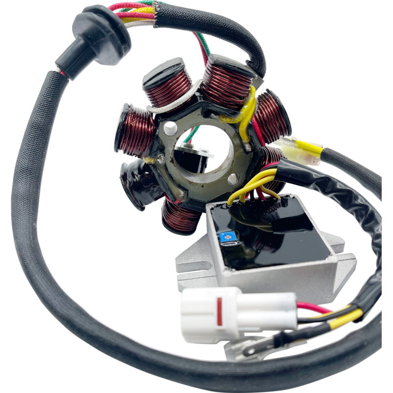 Rick's Motorsport Electrics Lithium-Ion Friendly Charging Kits