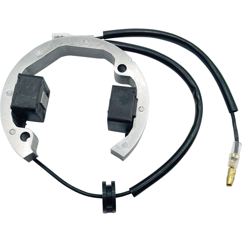 Rick's Motorsport Electrics Stator 2112-1736