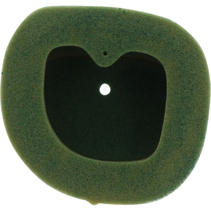 Twin Air Pre-Oiled Filter 1011-0580