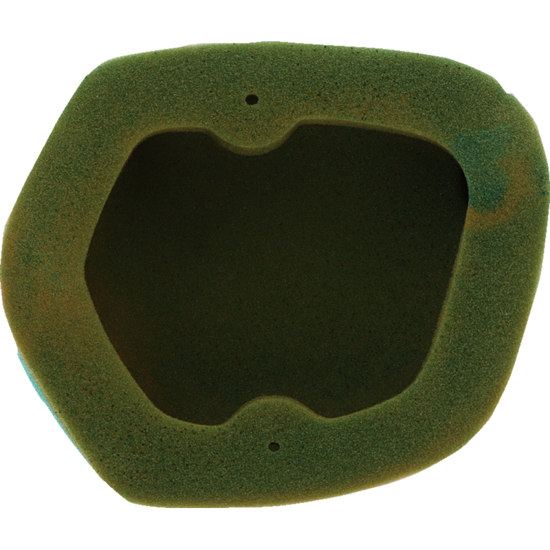 Twin Air Pre-Oiled Filter 1011-4634