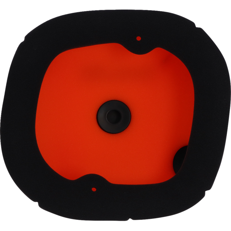 Twin Air Standard Filter 1011-4793