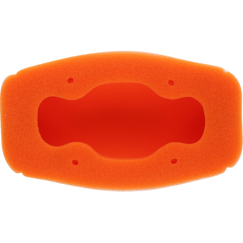 Twin Air Standard Filter 1011-4800