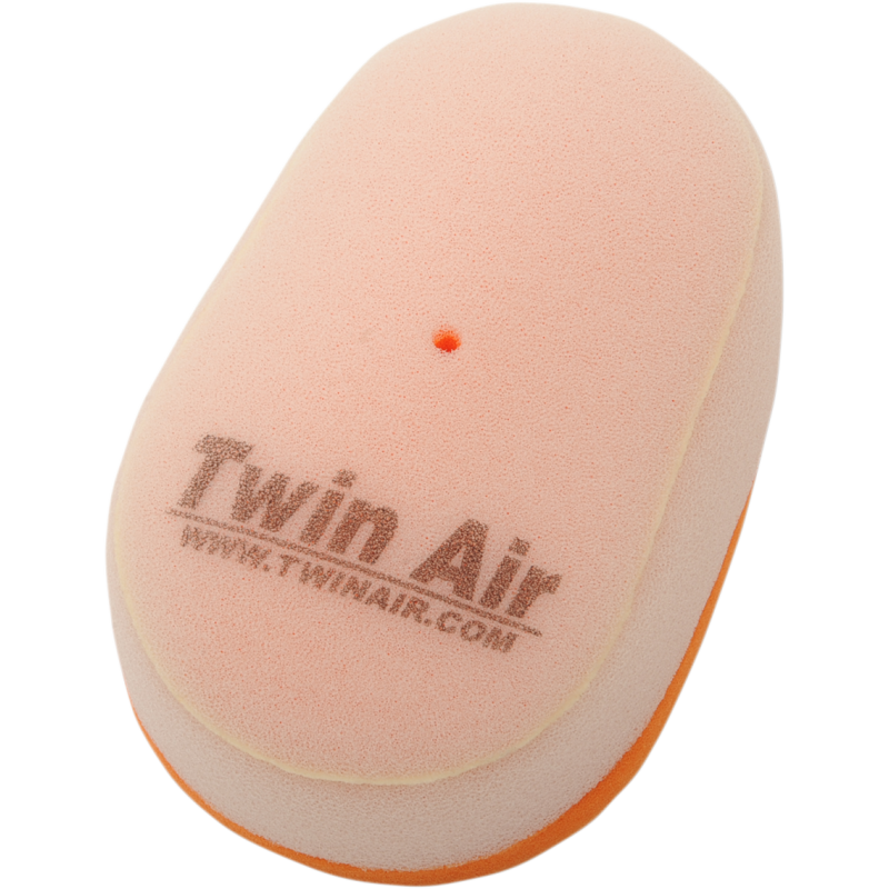 Twin Air Standard Filter 22010