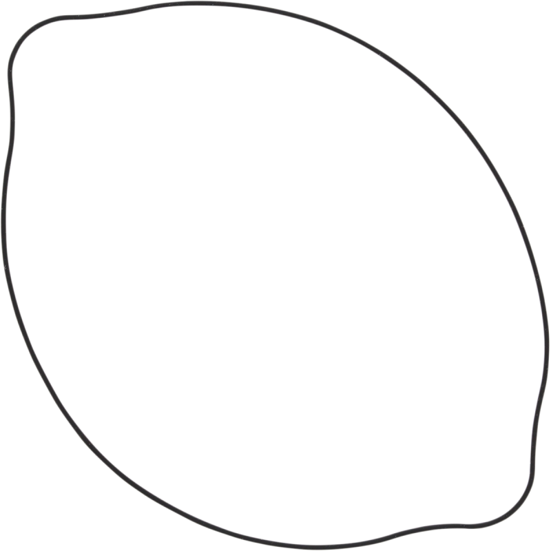Vertex Outer Clutch Gasket Kit