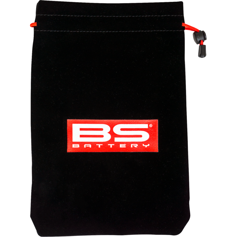 BS Battery BS 10 Smart Battery Charger/Maintainer