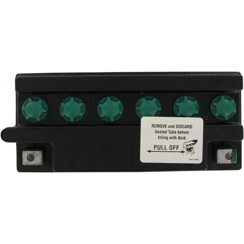 Yuasa Yumicron 12V Battery Y50-N18L-A