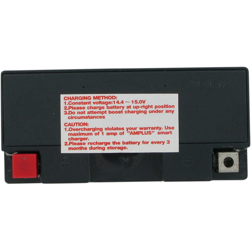 Factory-Activated AGM Maintenance-Free Battery YT14B-BS/YT14B4